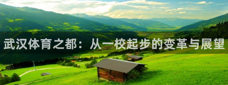 vsport体育官方正版app五金厂