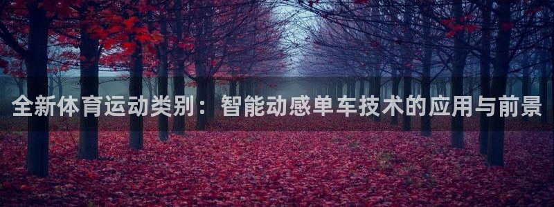 vsport体育官网下载招商电话地址查询：全新体育运