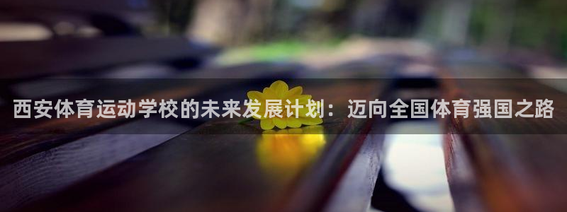 vsport体育官网下载平台是正规平台吗：西安体育运