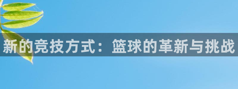 vsport体育官方平台体育：新的竞技方式：篮球的革