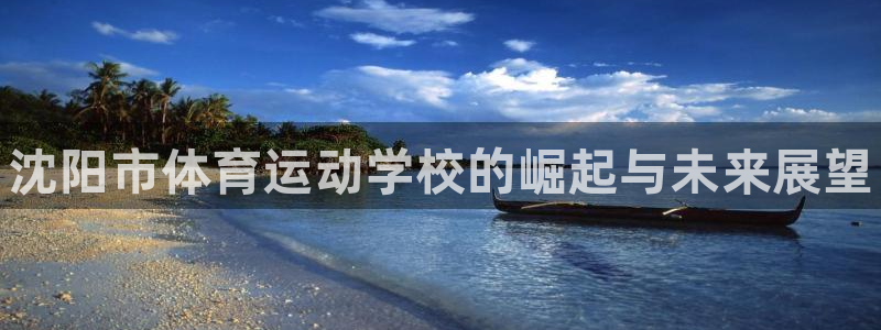 vsport体育官方正版app娱乐下载