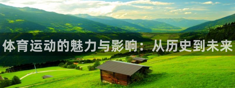 vsport体育官网下载是干嘛的公司