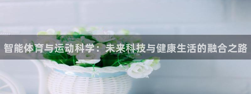 vsport体育官方正版app娱乐是那个系列的台子：