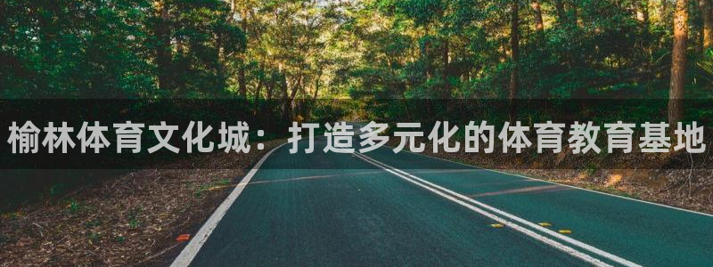 vsport体育官网下载平台：榆林体育文化城：打造多元化的体
