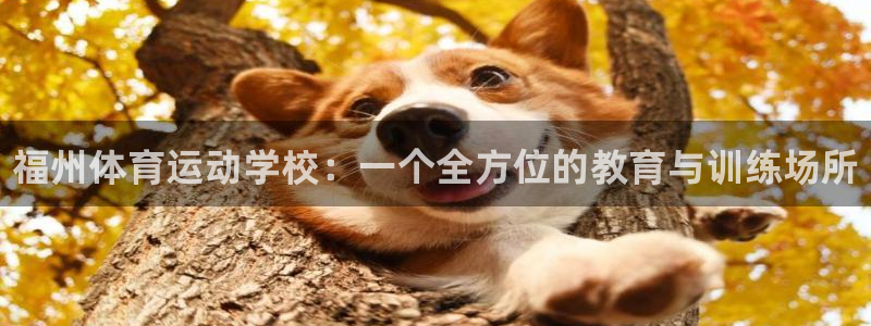 vsport体育官方正版app娱乐首页官网下载：福州