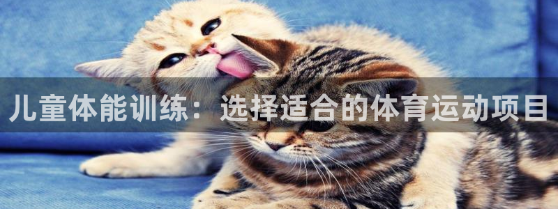 vsport体育官网下载招商电话号码是多少号