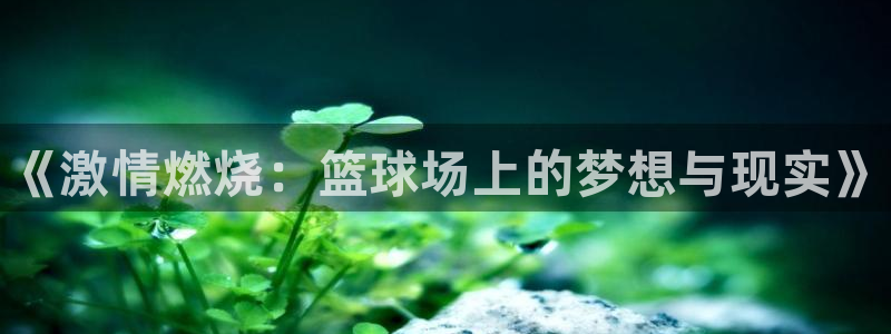 vsport体育官网下载平台注册流程图：《激情燃烧：