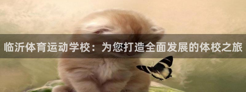 vsport体育官网下载联系电话