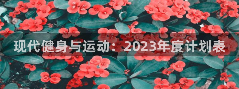 vsport体育官方正版app代理