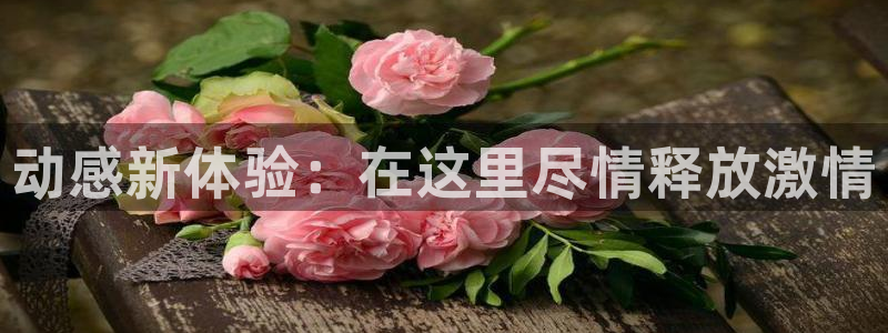 vsport体育官方正版app官方：动感新体验：在这里尽情释
