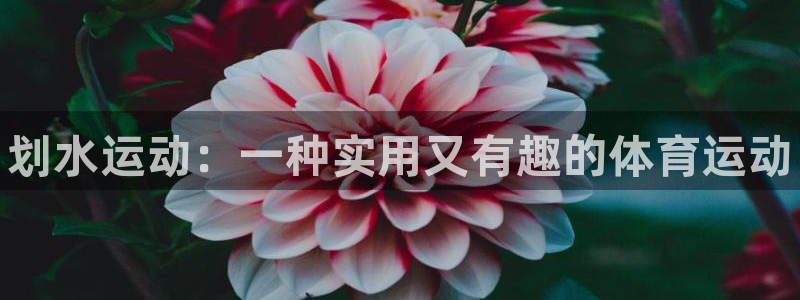 vsport体育官网下载招商电话号码：划水运动：一种