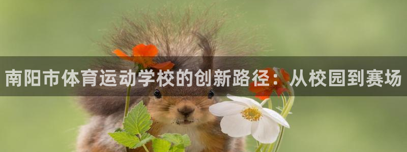 vsport体育官网下载招商电话号码是多少号：南阳市