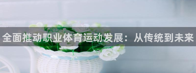 vsport体育官网下载招商电话号码是多少