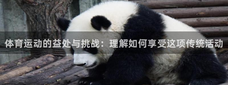 vsport体育官网下载平台注册要钱吗：体育运动的益