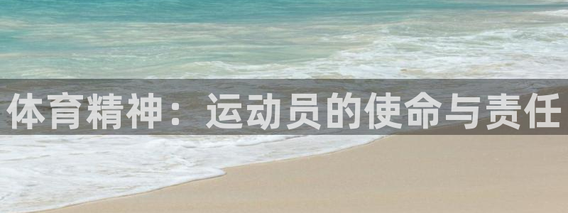 vsport体育官方正版app集团logo：体育精神
