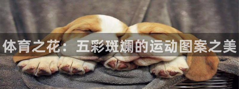 vsport体育官网下载招商电话号码查询是多少：体育