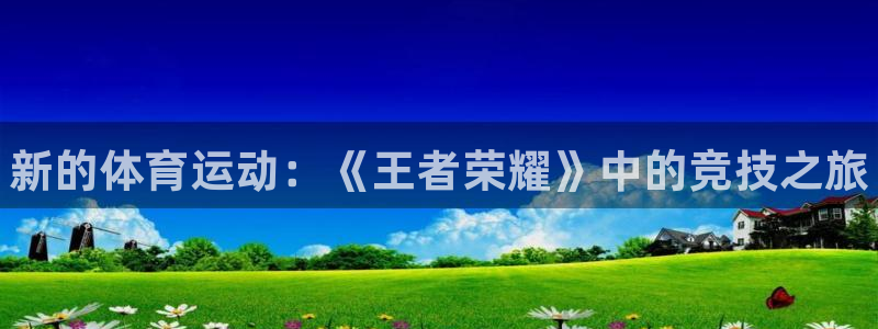 海南vsport体育官网下载发展怎么样：新的体育运动：《王者