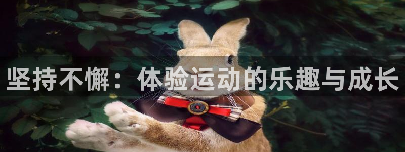 vsport体育官网下载招商电话是多少：坚持不懈：体验运动的
