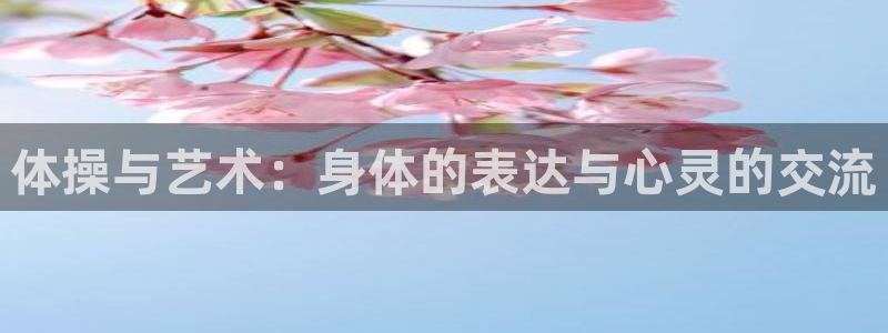 vsport体育官方正版app开户：体操与艺术：身体的表达与
