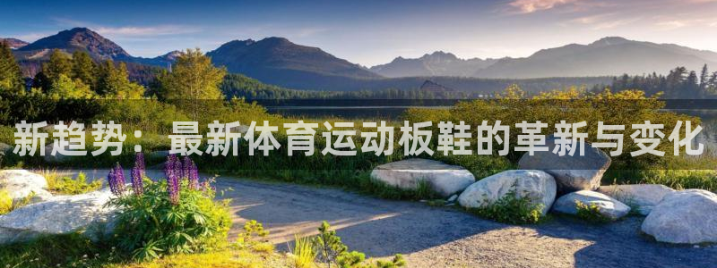 注册vsport体育官方正版app：新趋势：最新体育