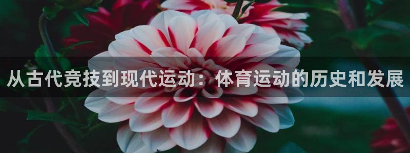 vsport体育官方正版app五金厂：从古代竞技到现代运动：