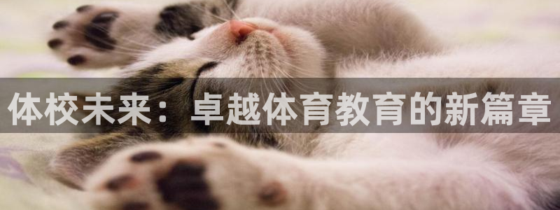 海南vsport体育官网下载发展怎么样：体校未来：卓越体育教