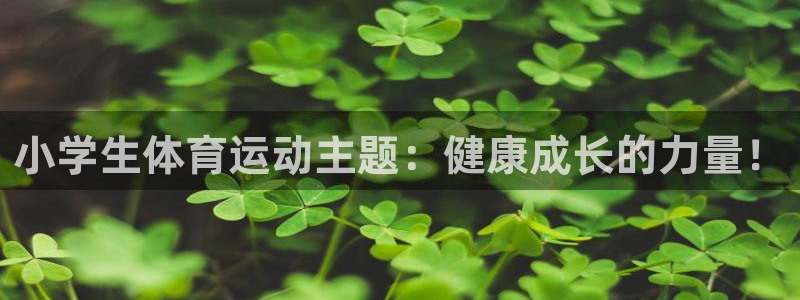 vsport体育官网下载招商电话号码查询：小学生体育运动主题