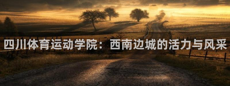 注册vsport体育官方正版app：四川体育运动学院