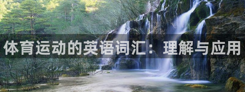 vsport体育官方正版app科技：体育运动的英语词汇：理解