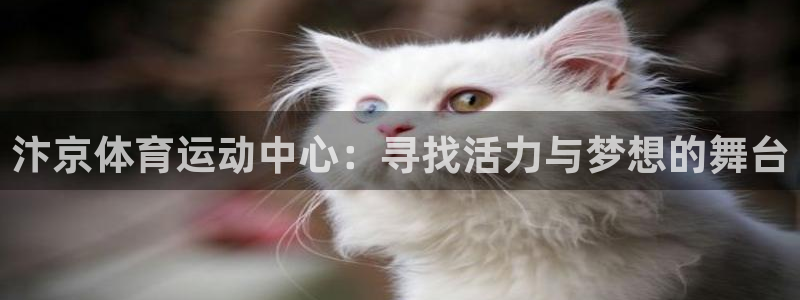 vsport体育官网下载招商电话号码是多少啊：汴京体育运动中