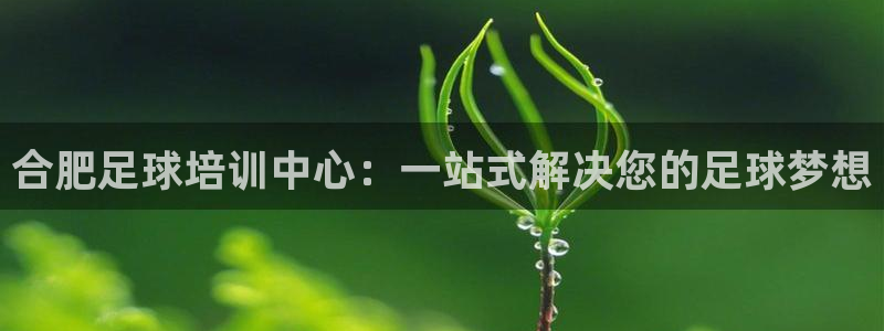 vsport体育官网下载平台注册要钱吗是真的吗：合肥
