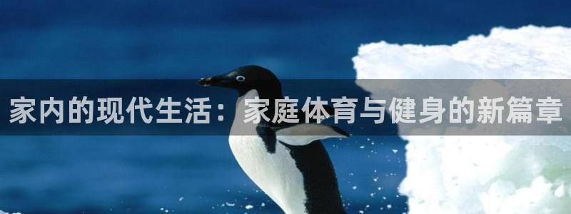 vsport体育官方正版app集团E.ON：家内的现