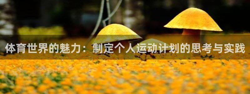 vsport体育官方正版app集团官网网址