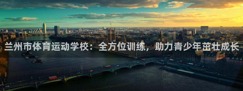 vsport体育官方正版app新能源