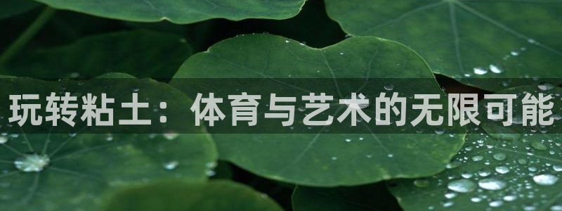 德国vsport体育官方正版app集团：玩转粘土：体