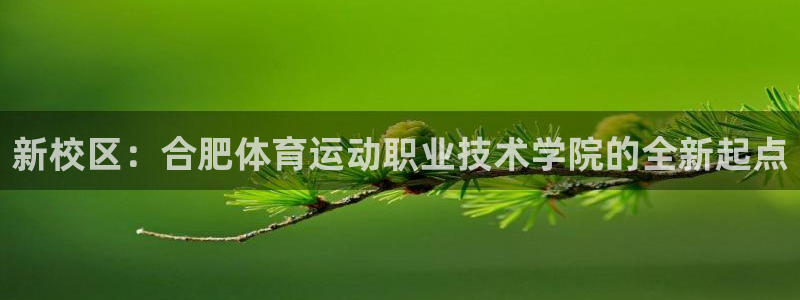 vsport体育官网下载招商：新校区：合肥体育运动职业技术学