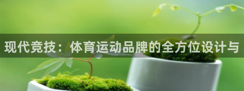 vsport体育官方正版app娱乐首页官网下载：现代