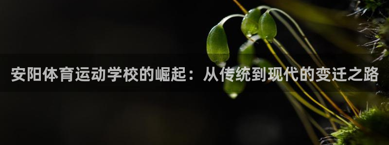 vsport体育官方正版app娱乐下载：安阳体育运动学校的崛
