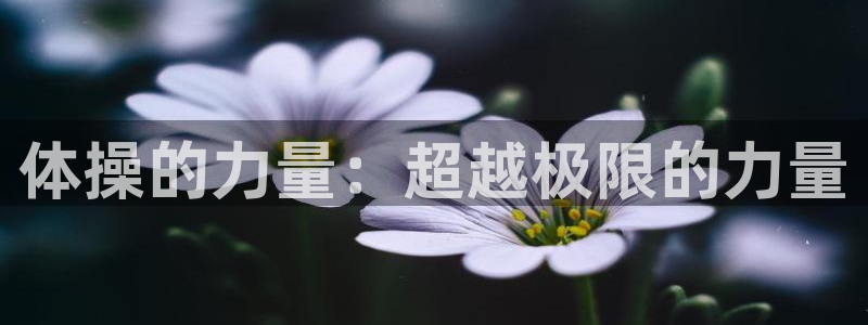 vsport体育官方正版app集团官网首页：体操的力量：超越