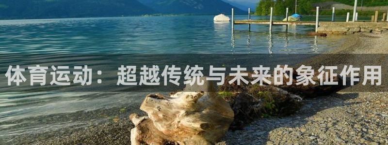 vsport体育官网下载软件