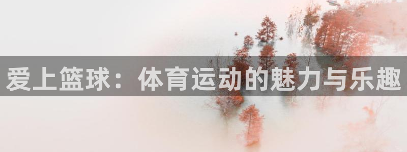 vsport体育官网下载平台假的吗是真的吗吗：爱上篮球：体育