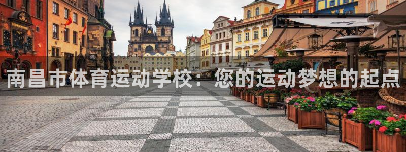 vsport体育官网下载软件：南昌市体育运动学校：您的运动梦