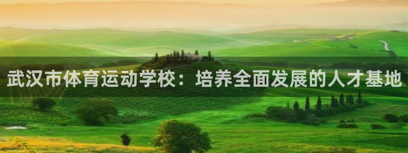 vsport体育官方正版app娱乐首页官网下载：武汉